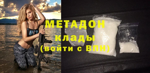 стаф Алзамай