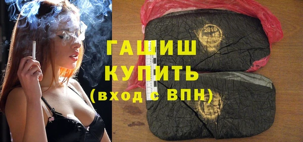 стаф Алзамай
