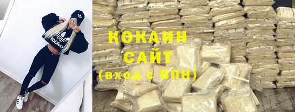 стаф Алзамай